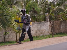 セネガル文化の伝道師、シティー派アフリカンダンサーFATIMATAのブログ